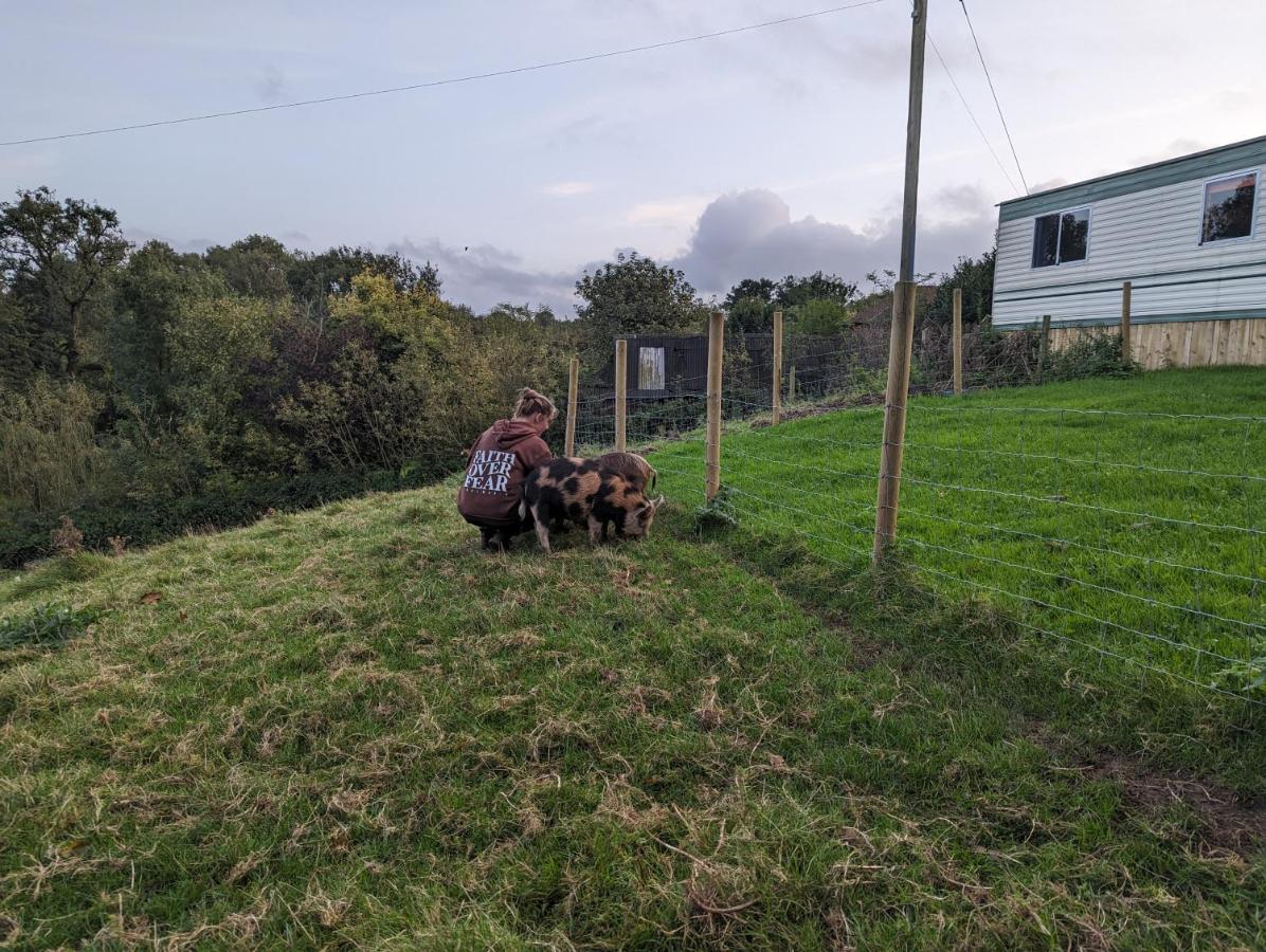 Witheridge The Piggery 빌라 외부 사진